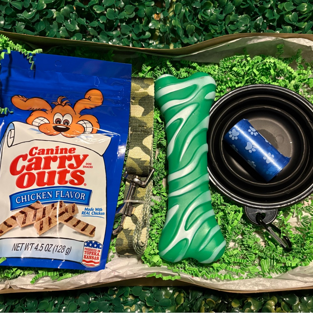 Dog Treats and Green Dog Toy Set